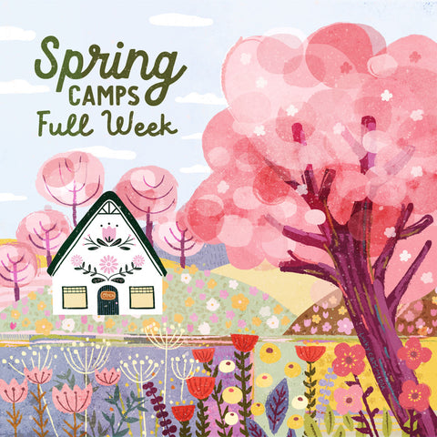 spring break camp | full week